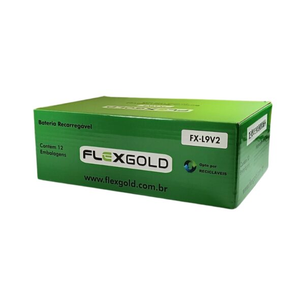 FX-L9V1 - Image 3